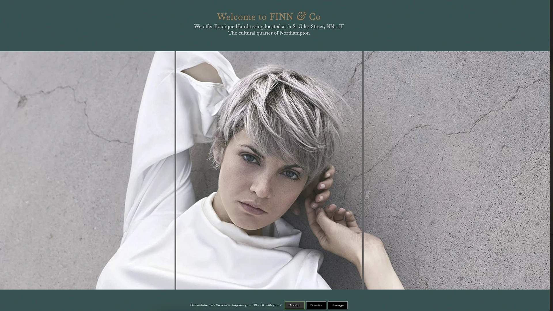 FINN & CO website design and development from ClientWave Creative FINN & CO website design and development from ClientWave Creative